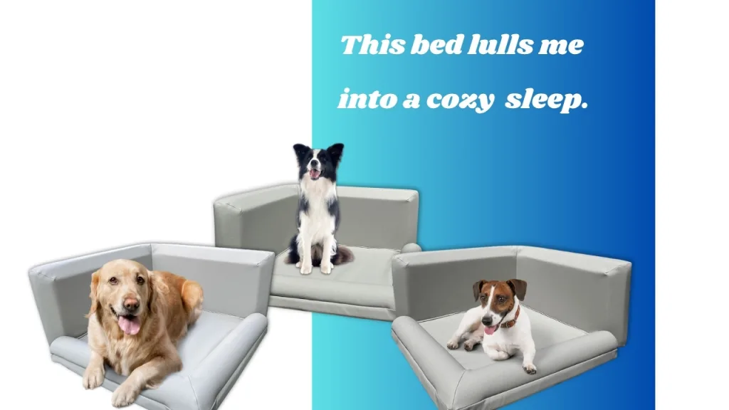 best dog bed