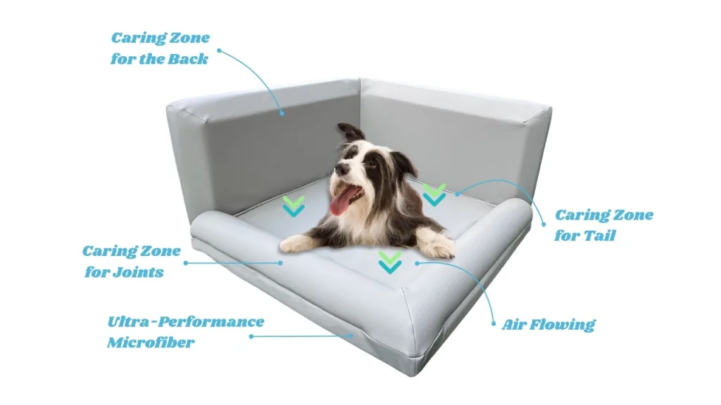 cooling dog bed