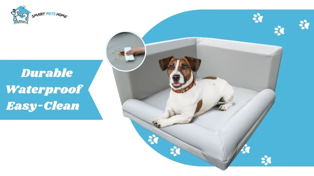 Kickstarter Specials for the Lazy Pet Sofa Bed