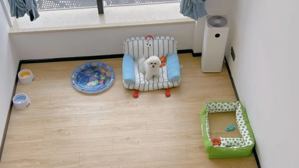 Luxury Dog Hotels